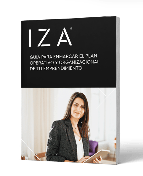 guia para enmarcar el plan operativo y organizacional