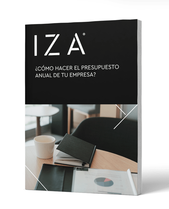 Mockup_IZABC_Presupuesto-anual