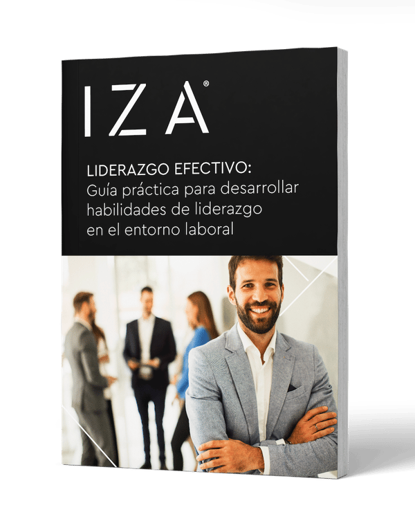 eBook: Liderazgo efectivo